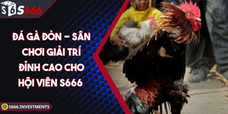 Đá Gà Đòn - Sân Chơi Giải Trí Đỉnh Cao Cho Hội Viên S666