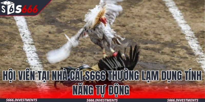 Hệ thống của chúng tôi có nghệ thuật huấn luyện đỉnh cao 