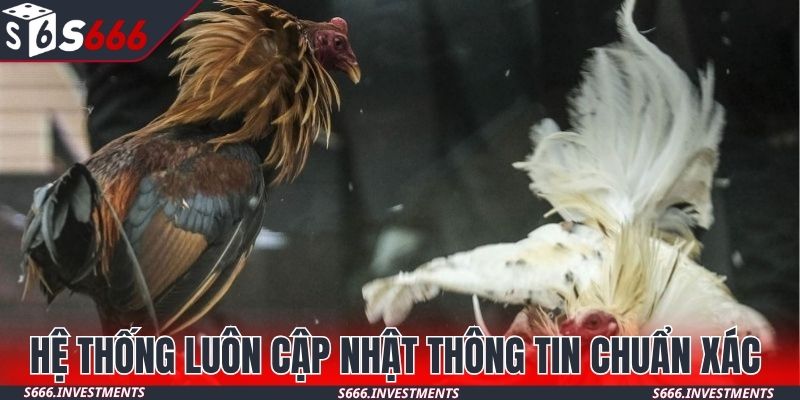Hệ thống luôn cập nhật thông tin chuẩn xác 