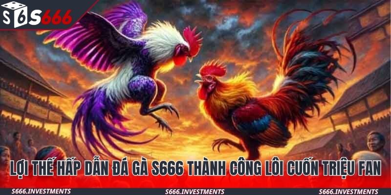 Lợi thế hấp dẫn đá gà S666 thành công lôi cuốn triệu fan