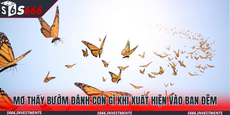 Mơ thấy bướm đánh con gì khi xuất hiện vào ban đêm