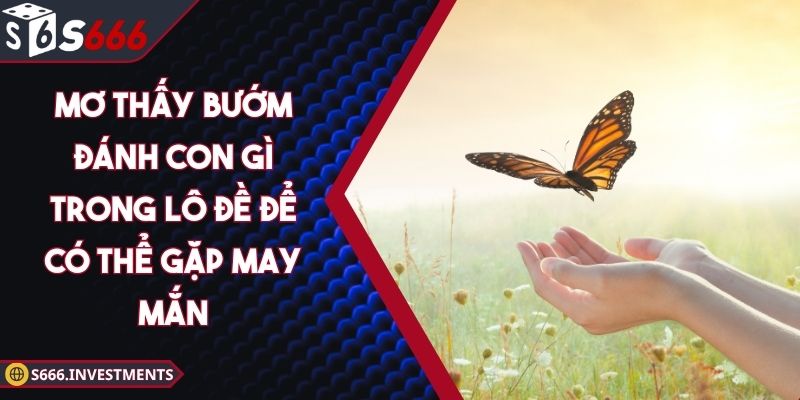 Mơ Thấy Bướm Đánh Con Gì Trong Lô Đề Để Có Thể Gặp May Mắn