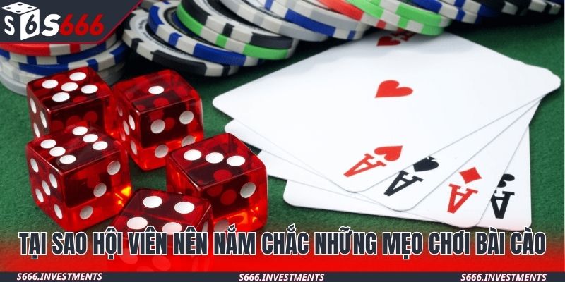 Tại sao hội viên nên nắm chắc những mẹo chơi bài cào