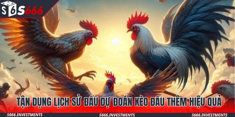Tận dụng lịch sử đấu dự đoán kèo đấu thêm hiệu quả
