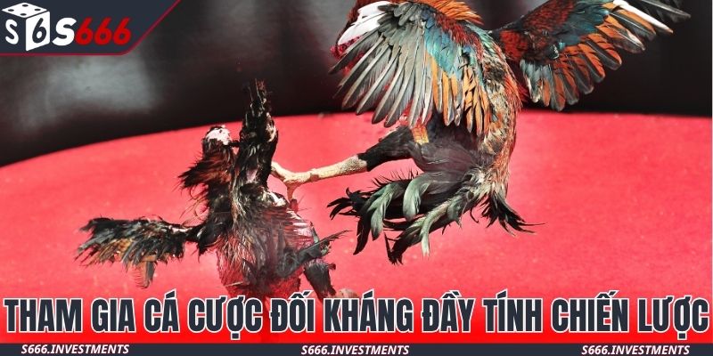 Tham gia cá cược đối kháng đầy tính chiến lược